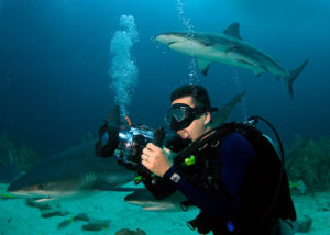 Chris Marin diving with sharks